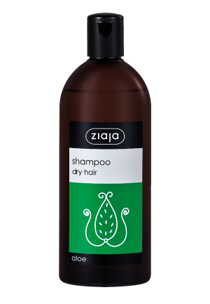 aloe shampoo for dry hair