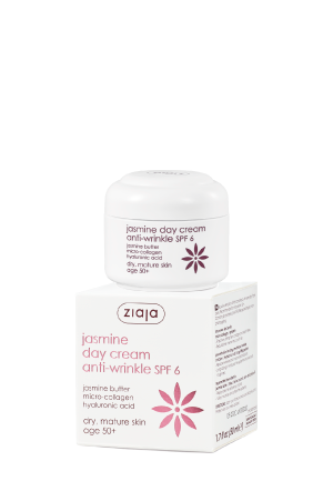 day cream anti-wrinkle SPF 6